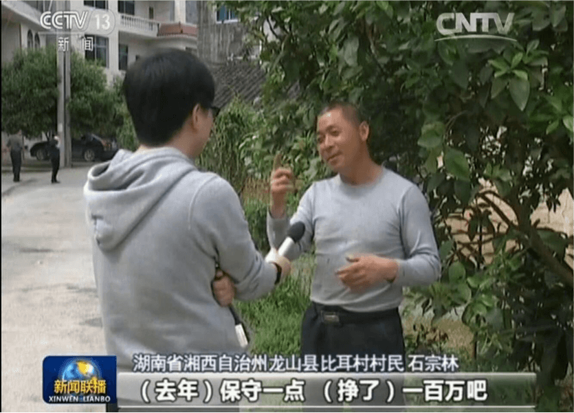 全民为村买脐橙,一年内价格增收500W+
